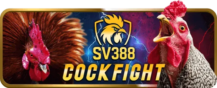 Hỗ trợ và câu hỏi thường gặp kuwin1 casino